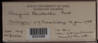 Image Associated With the Occurence